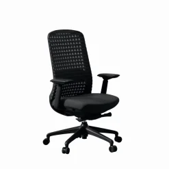 DPJ Workspace Ergonomischer Bürostuhl Bliss