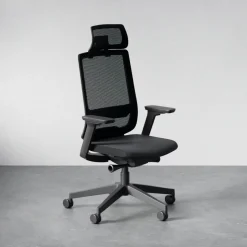 DPJ Workspace Ergonomischer Bürostuhl Ergo 317