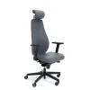 DPJ Workspace Ergonomischer Bürostuhl Flow