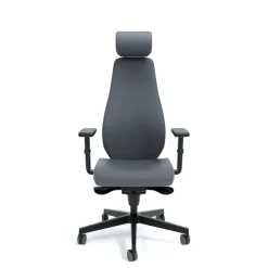 DPJ Workspace Ergonomischer Bürostuhl Flow