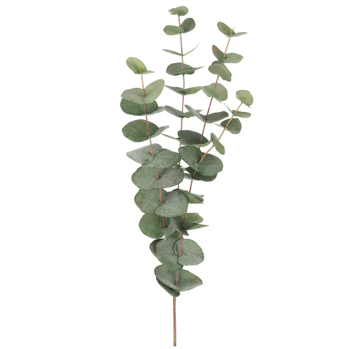 DPJ Workspace Kunstgewächs Eucalyptuszweig