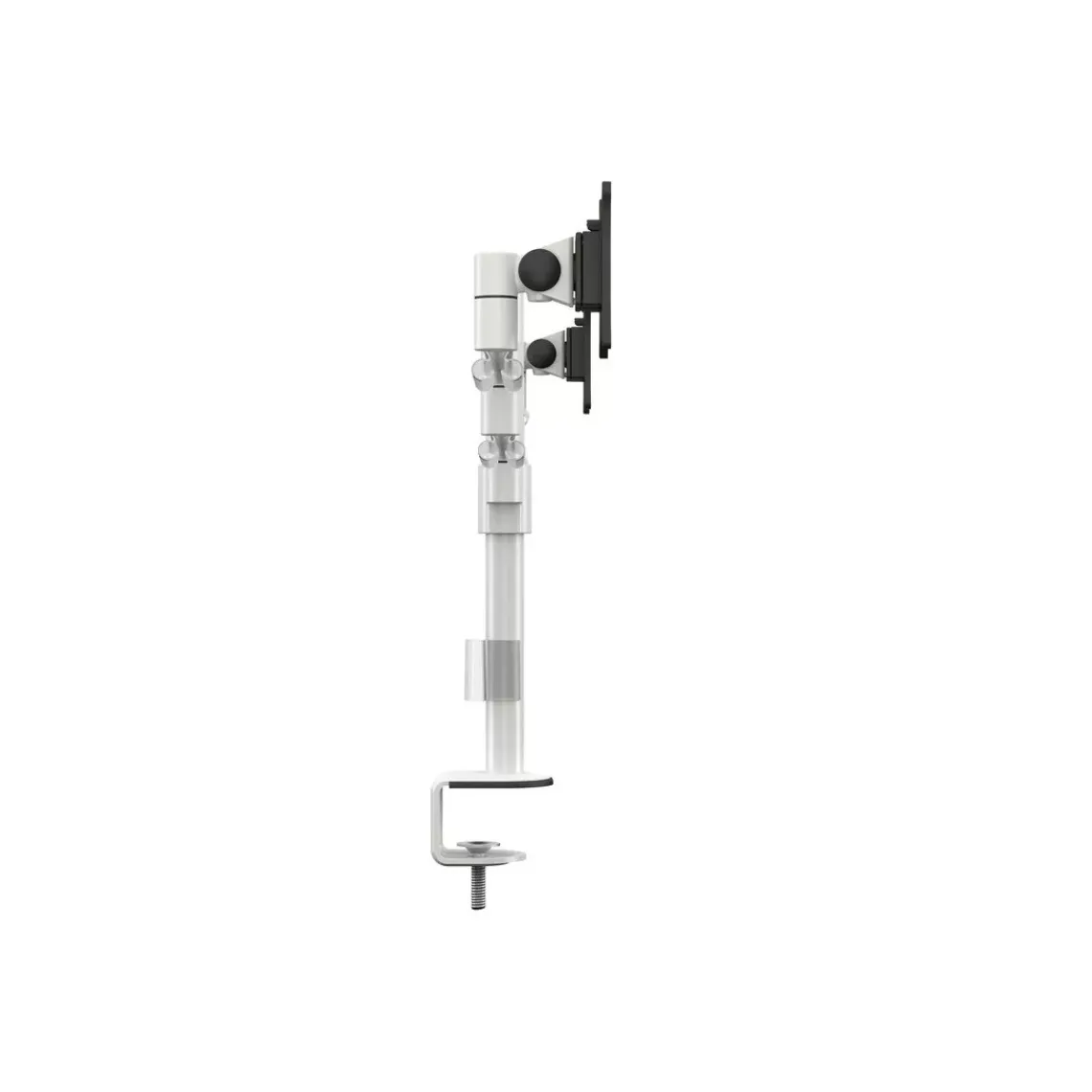 DPJ Workspace Monitorarm M VESA Deskmount Officeline Dual White