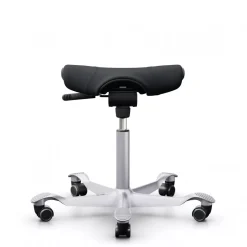 DPJ Workspace Sattelstuhl HÅG Capisco Puls 8002
