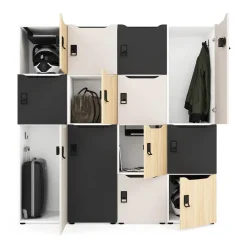 DPJ Workspace Schrank Choice - 2 Türen & Briefeinwürfe