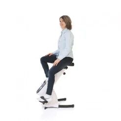 DPJ Workspace Schreibtisch-Fahrrad Desk Bike
