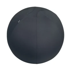 DPJ Workspace Sitzball Ergo Active