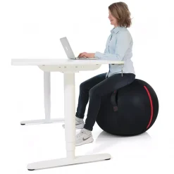 DPJ Workspace Sitzball Office Ball