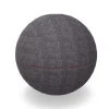 DPJ Workspace Sitzball Office Ballz