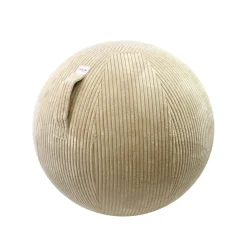 DPJ Workspace Sitzball Vluv Vlip