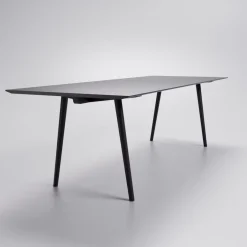 DPJ Workspace Tisch Riz